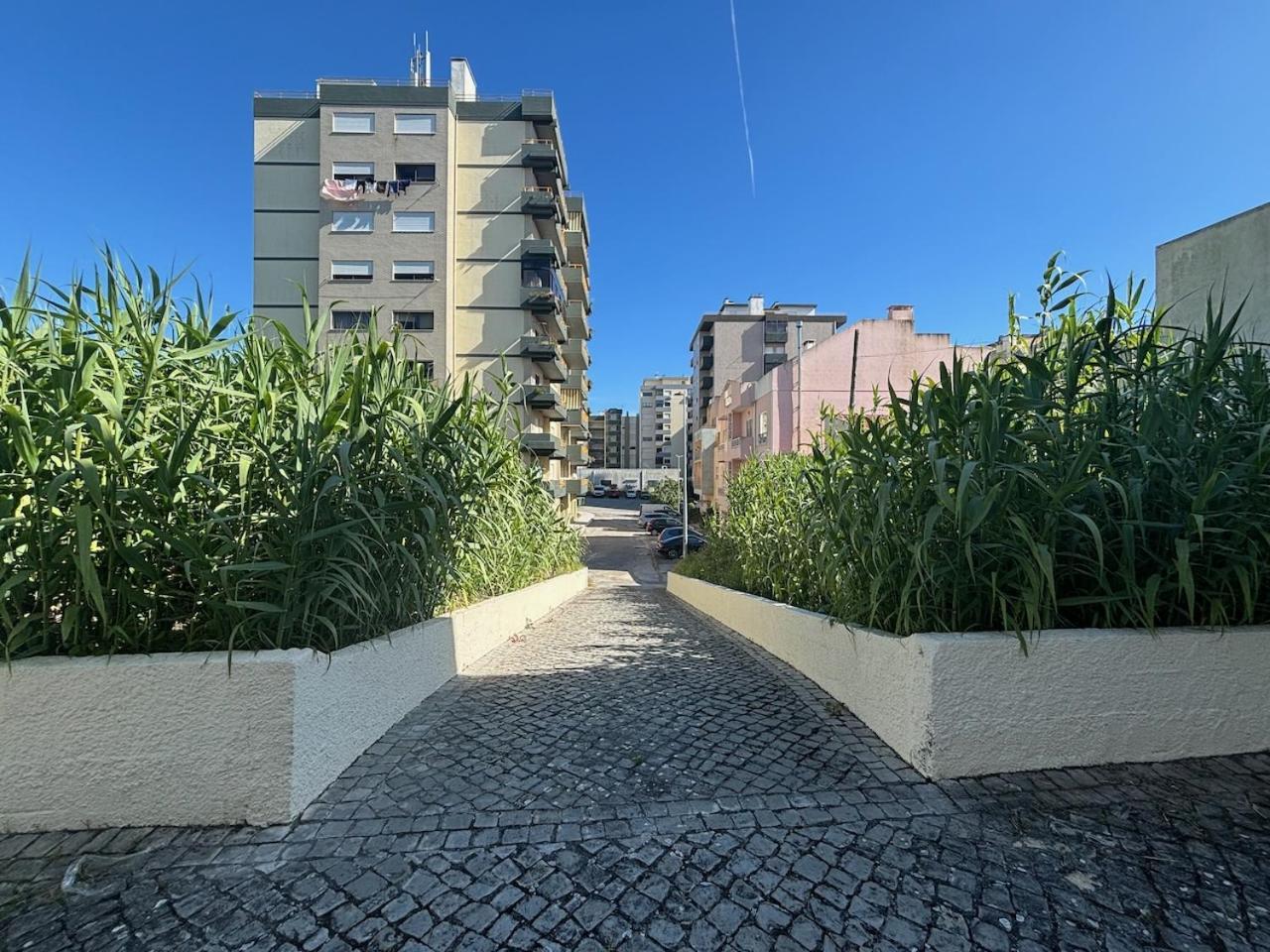 Rosario - Two Bedroom Apart- Buarcos - פיגואיירה דה פוז מראה חיצוני תמונה